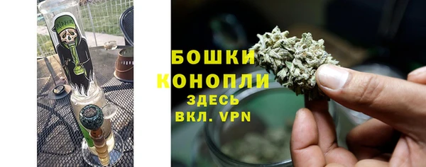хмурый Белокуриха
