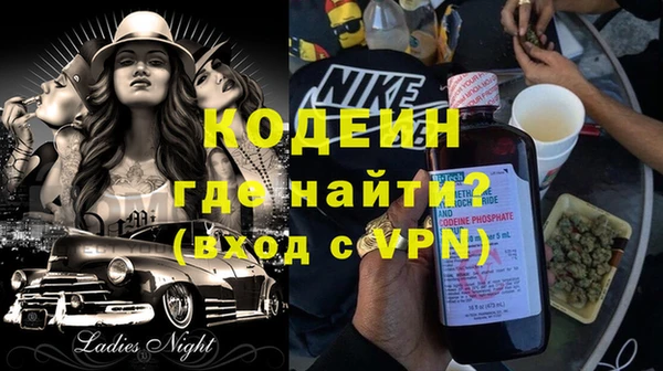 хмурый Белокуриха