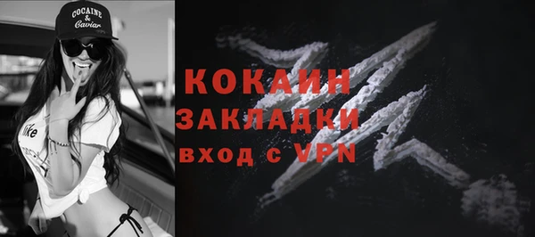 хмурый Белокуриха